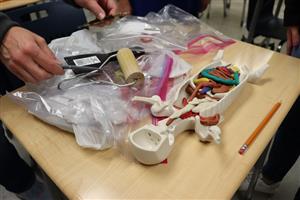 Anatomy in clay
